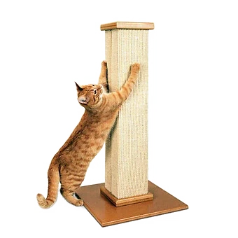 Pet supplies
